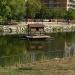 Caseta para Patos en la ciudad de Madrid