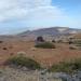 Huevos del Teide