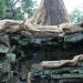 Ta Prohm