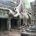 Ta Prohm