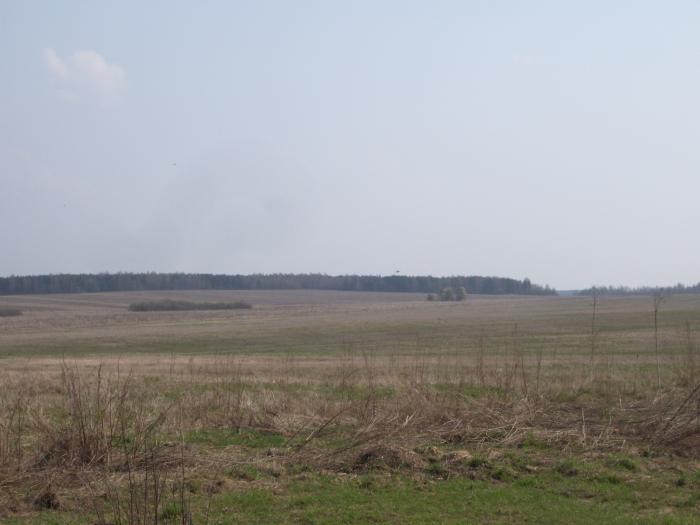 Урочище Мазиковщина