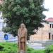 Rynek in Wolin city
