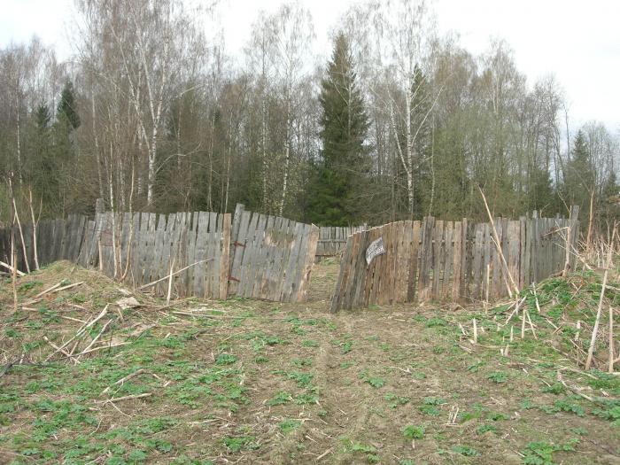Скотомогильник телеграм канал