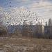 Пустырь в городе Новая Каховка
