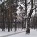 Сквер со старыми соснами и дубами (ru) in Moscow city