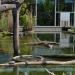 Meerkat, Gibbon & Lemur exhibit