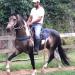 Haras Recanto da Mata