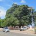 Jardim Lecide (Largo Lecidere ) WF BEN in Dili city
