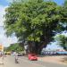 Jardim Lecide (Largo Lecidere ) WF BEN in Dili city