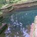 kurunghot kulam in Eramala city