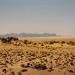 Arkenu Dune, Southern Section