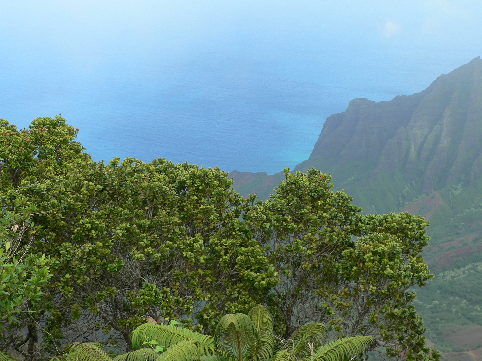 Waimea Canyon State Park 