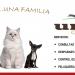 Clinica Veterinaria UNIVET (es) in San Salvador city