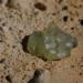 Libyan Desert Glass (Silica Area)