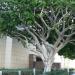 Cathedral Square in Los Angeles, California city