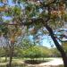 Praça Professor José Bernardino (Praça do Pomar) na Rio de Janeiro city