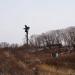 Позиция комплекса С-400 в городе Владивосток