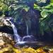 Blue Mountains National Park