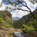 Blue Mountains National Park