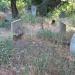 Molokan cemetery