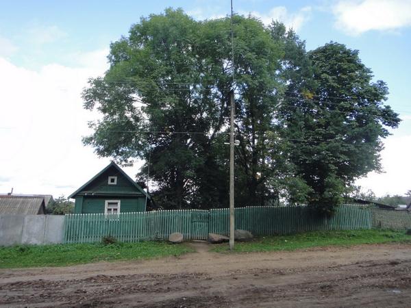 Дом на острове николая гурьянова фото