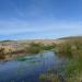 Abbotts Lagoon