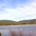 Nicasio Reservoir