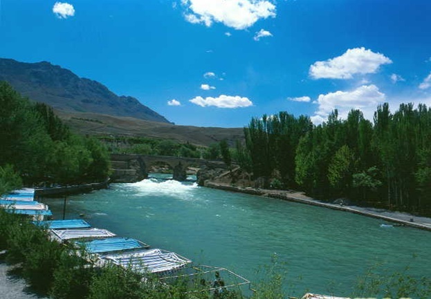 Saman