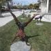 Acrobatic Kids in Milpitas, California city