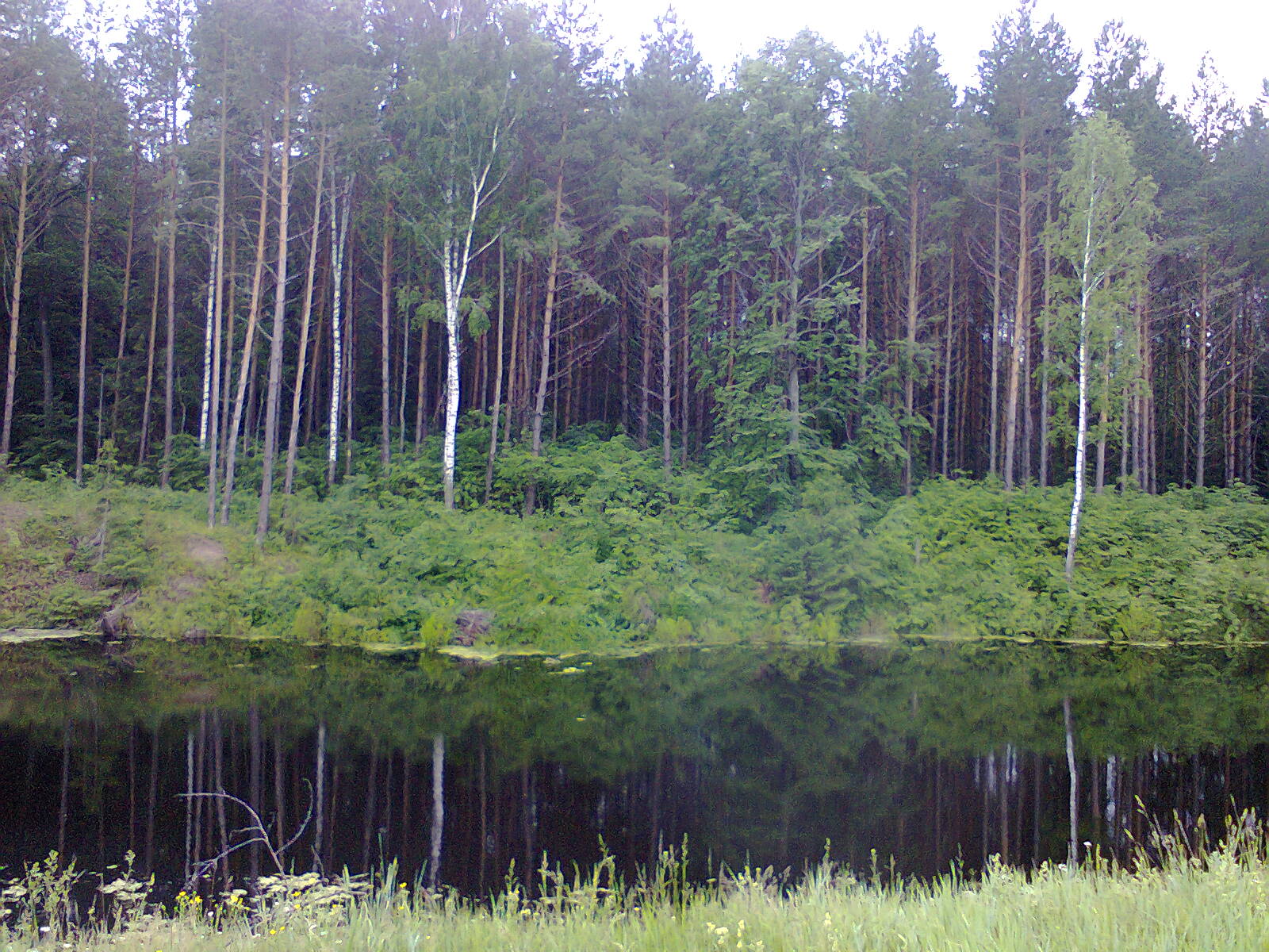 Рыбалка в шапкино