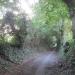 Walking alley (ru) in Exeter city
