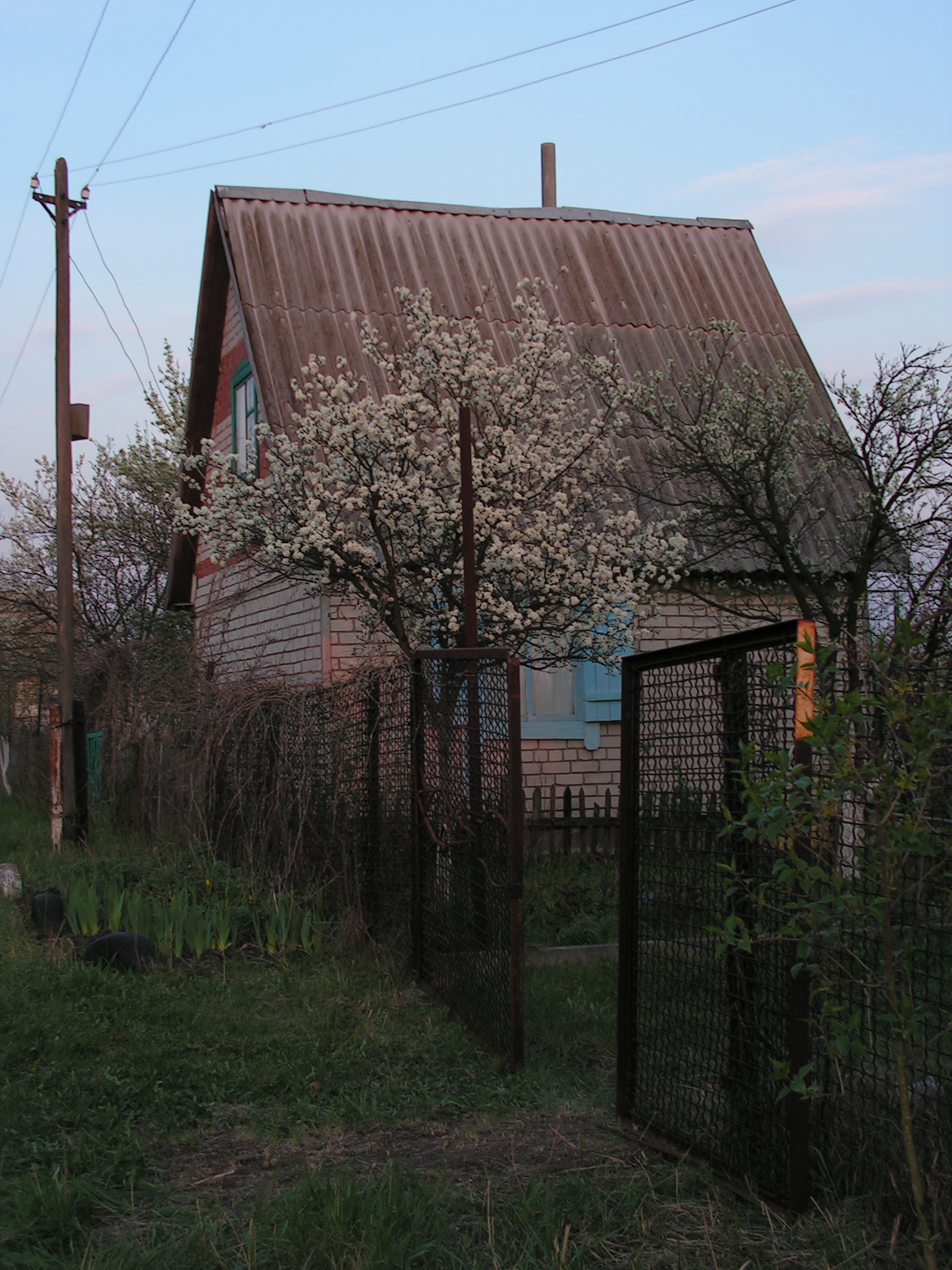 Сдаю дом на улице Дежнева 66 в городе Шахтах 36.0 м² на участке 6.0 сот этажей 1