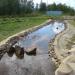 Botanic garden in Mirny city
