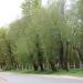 Казанское кладбище в городе Великие Луки