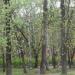просп. Гагарина, 59 в городе Великие Луки