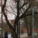 Столб электропередачи в городе Псков