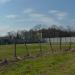 Barbed wire enclosure (en) in Ниш city