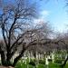 Old Cemetery