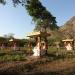 Field of Thousands of Buddhha Statue