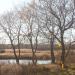 2-й пруд в городе Саратов