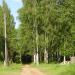 Березовая роща (Березовка) в городе Бабаево