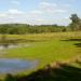 Lago na Palmeira city