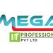 omega IT Professionals in Hyderabad city