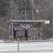 Автобусная остановка «Лесопаркхоз» в городе Красногорск