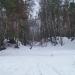 Выемка от бывшей железной дороги в городе Лыткарино