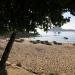 Haven Vietnam (en) trong Thành phố Quy Nhơn thành phố