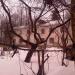 ул. 11 Сапёров, 12 в городе Нахабино