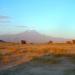 Armenian cemetery of Artzap'