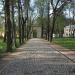 Дорожка, выложенная булыжником в городе Архангельское