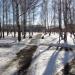 Сквер Сад Дружбы в городе Тюмень